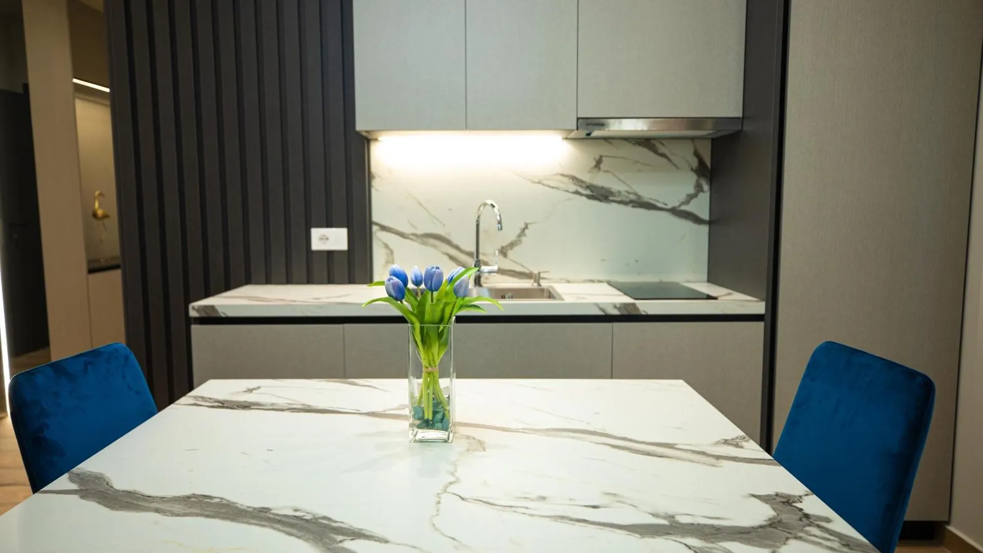 Vlore Luxury Apartaments 